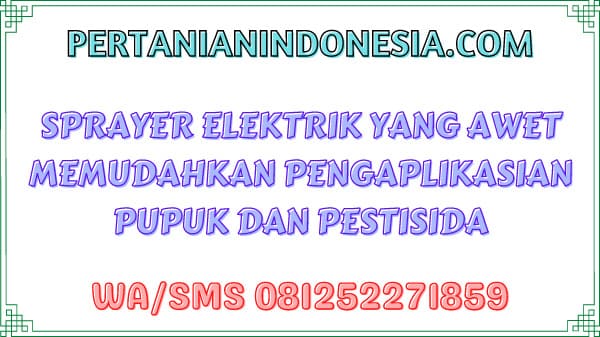 Sprayer Elektrik Yang Awet Memudahkan Pengaplikasian Pupuk Dan Pestisida